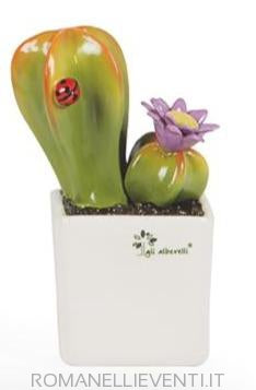 Pianta grassa piccola - Astrophytum cm 10x18-Gli Alberelli-Romanelli Eventi