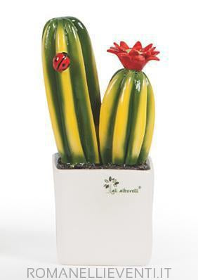 Pianta grassa piccola - Cactus cm 10x18-Gli Alberelli-Romanelli Eventi