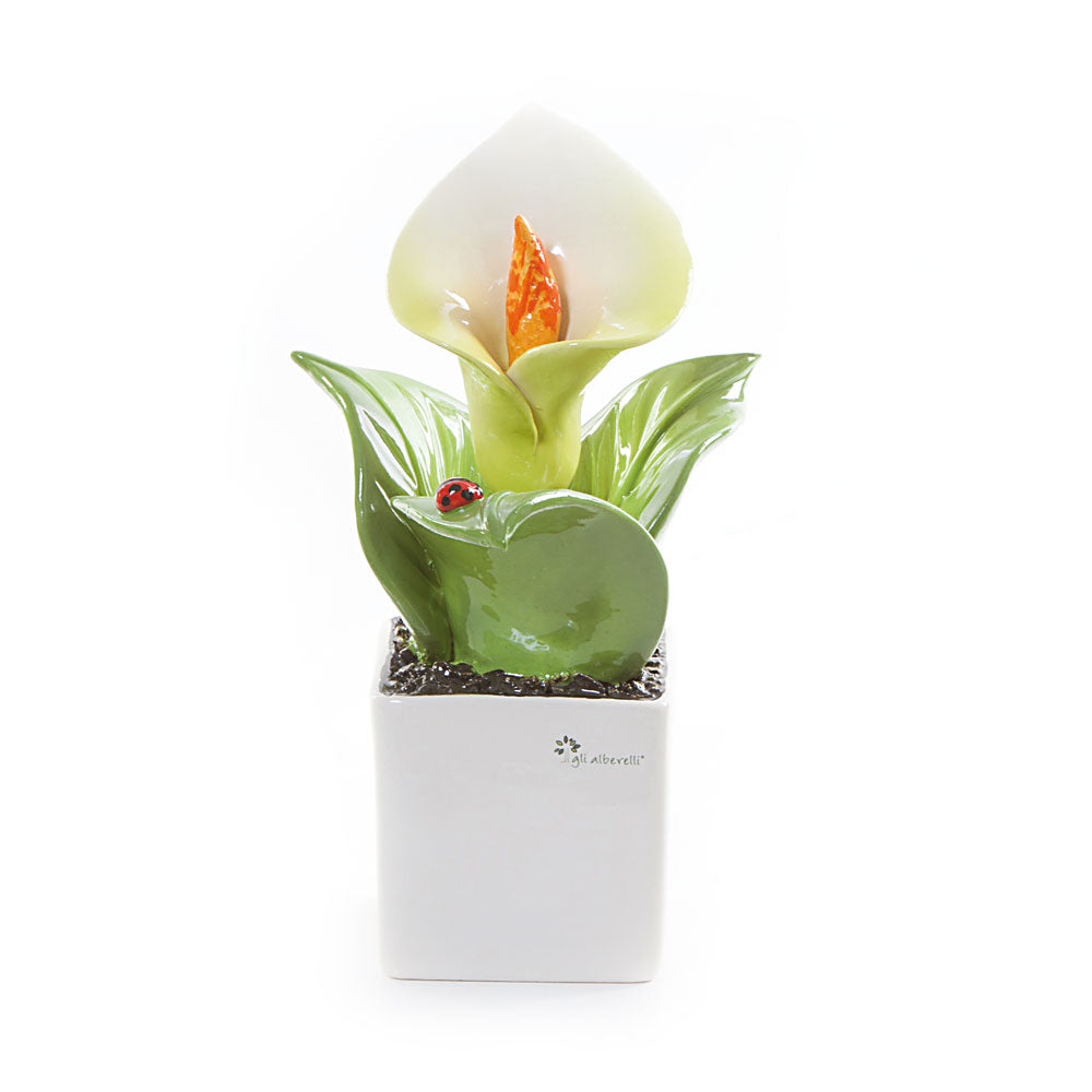 Pianta quadra misura piccola con decoro fiore: calla cm 12x18-Gli Alberelli-14x14x21-Romanelli Eventi