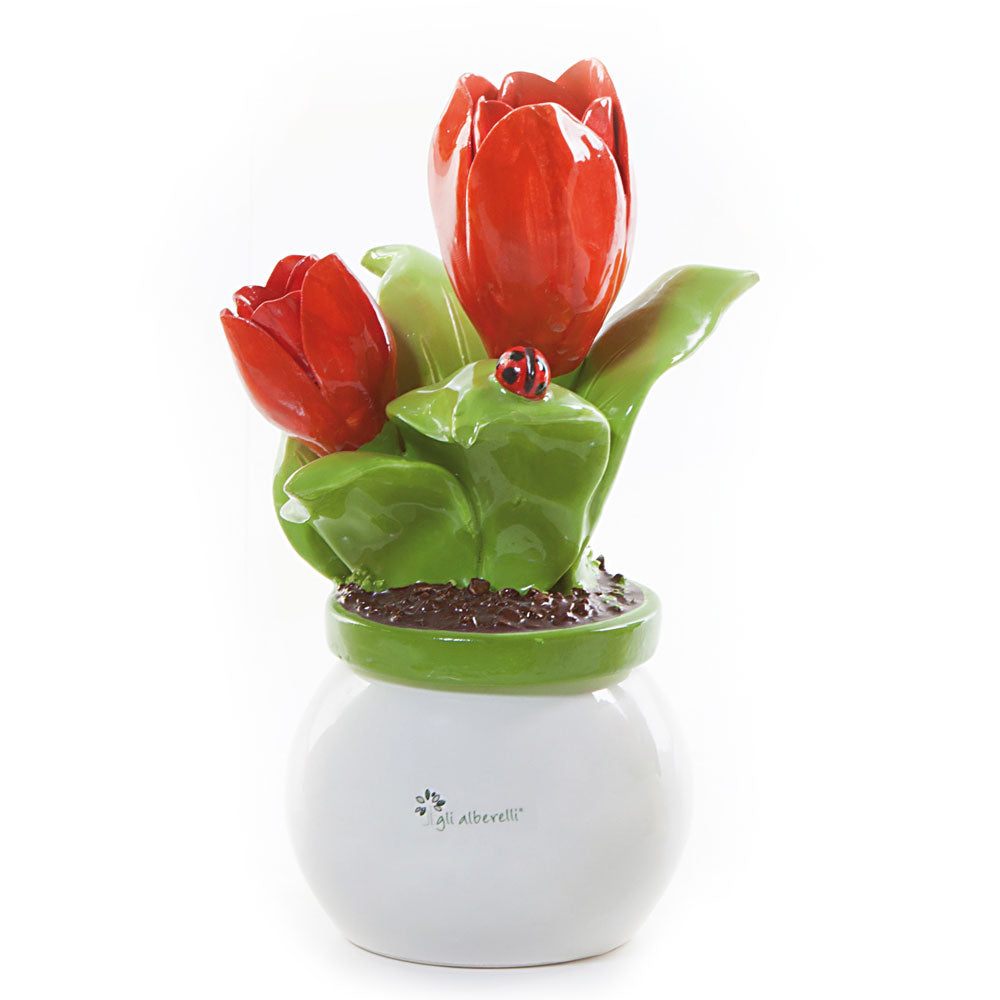 Piantina allegra misura media con decoro tulipano-Gli Alberelli-Romanelli Eventi
