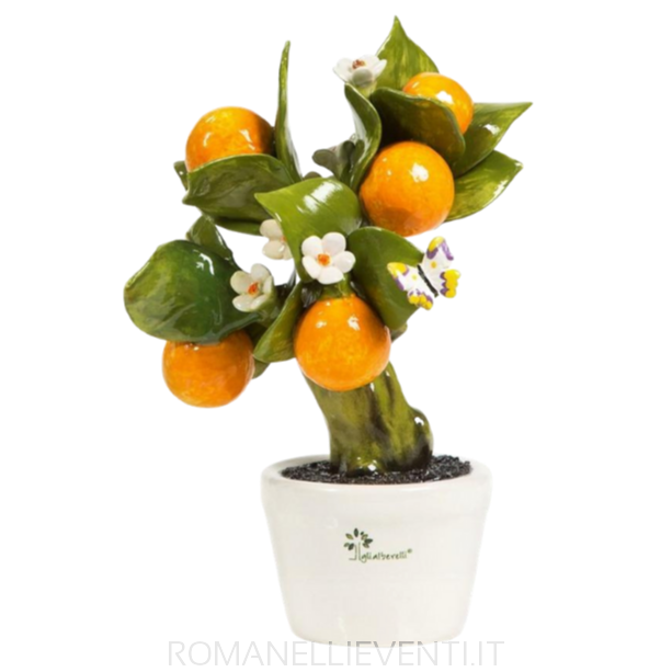 Albero Allegro Arancio medio-Gli Alberelli-Romanelli Eventi