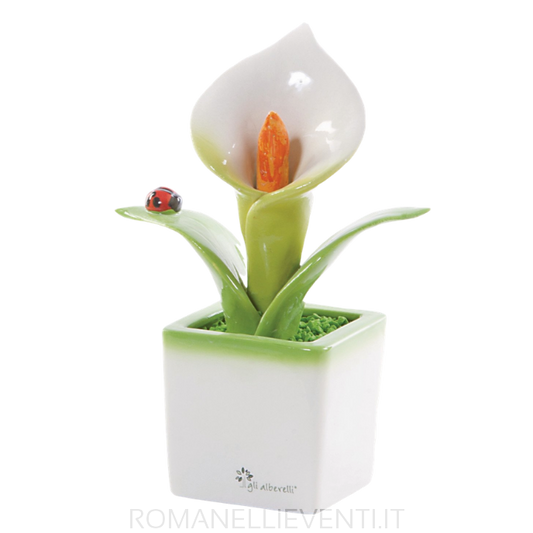 Cubotto piccolo - Calla 10 x 18 cm-Gli Alberelli-Romanelli Eventi