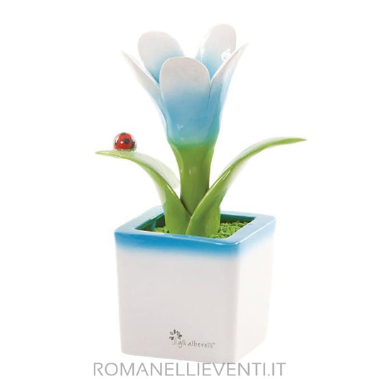 Cubotto piccolo - Fiore celeste 10 x 18 cm-Gli Alberelli-Romanelli Eventi