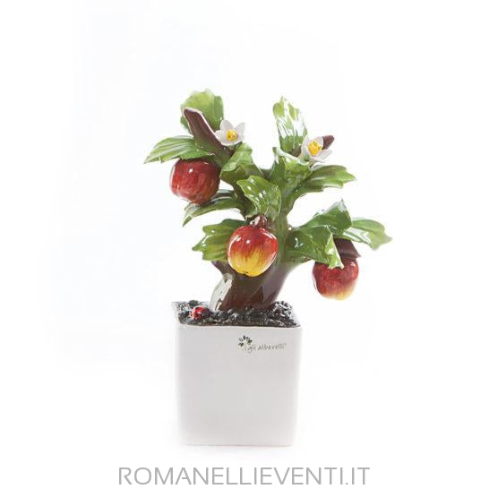 Pianta Bonsai-Gli Alberelli-Melo-CM 12x18-Romanelli Eventi