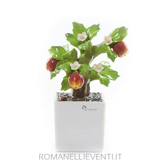 Pianta Bonsai-Gli Alberelli-Melo-CM 14x21-Romanelli Eventi