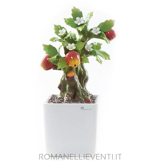 Pianta Bonsai-Gli Alberelli-Melo-CM 26x34-Romanelli Eventi