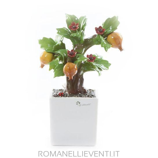 Pianta Bonsai-Gli Alberelli-Melograno-CM 14x21-Romanelli Eventi
