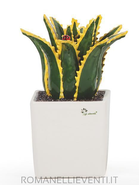 Pianta grassa grande - Agave cm 20x33-Gli Alberelli-Romanelli Eventi