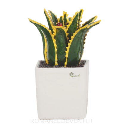 Pianta grassa grande - Agave cm 20x33-Gli Alberelli-Romanelli Eventi