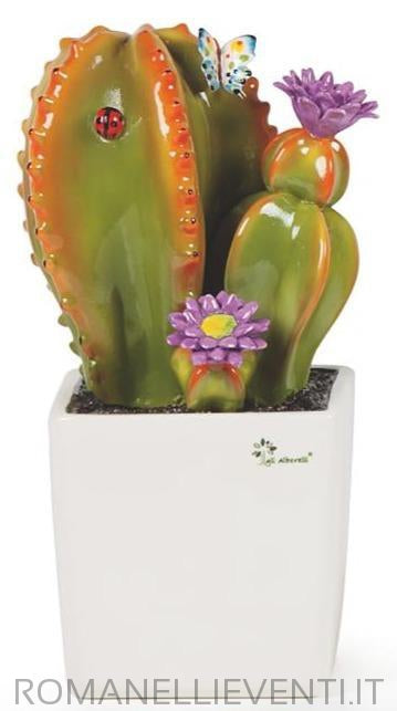 Pianta grassa grande: Ancistrocactusa cm 20x33-Gli Alberelli-Romanelli Eventi