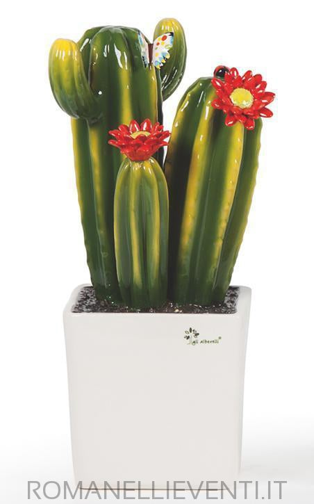 Pianta grassa grande - Cactus cm 20x33-Gli Alberelli-Romanelli Eventi