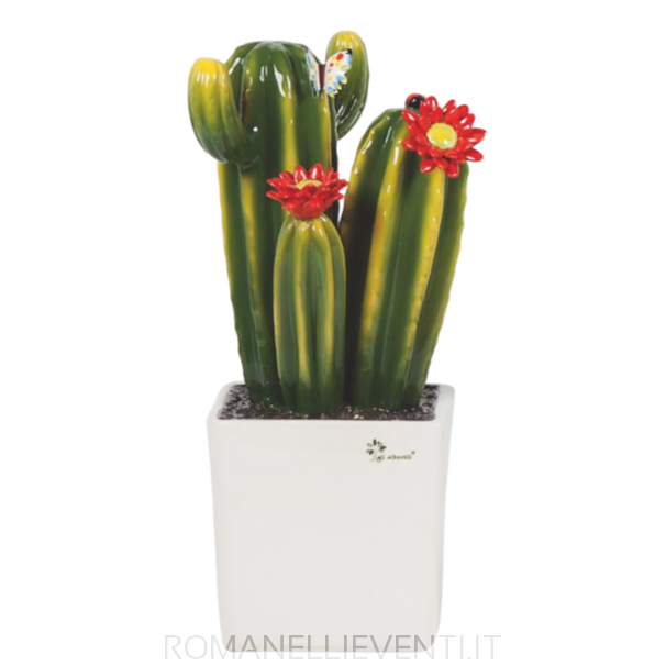 Pianta grassa grande - Cactus cm 20x33-Gli Alberelli-Romanelli Eventi