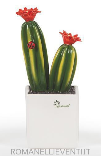 Pianta grassa media - Cactus cm 12x23-Gli Alberelli-Romanelli Eventi