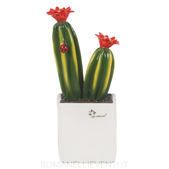 Pianta grassa media - Cactus cm 12x23-Gli Alberelli-Romanelli Eventi