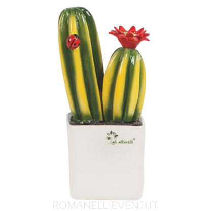 Pianta grassa piccola - Cactus cm 10x18-Gli Alberelli-Romanelli Eventi