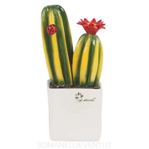 Pianta grassa piccola - Cactus cm 10x18-Gli Alberelli-Romanelli Eventi