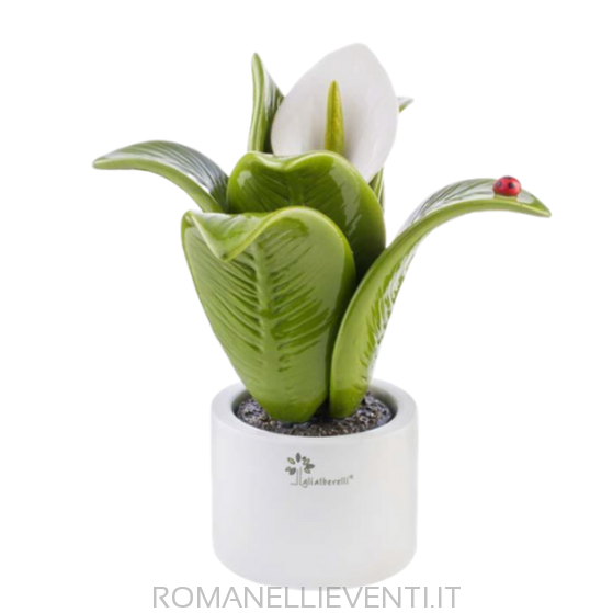 Pianta media decoro fiore 16 x 25,5 cm-Gli Alberelli-Romanelli Eventi