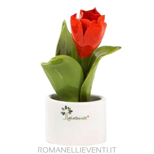 Pianta natura m. tulipano 6 x 11 cm-Gli Alberelli-Romanelli Eventi