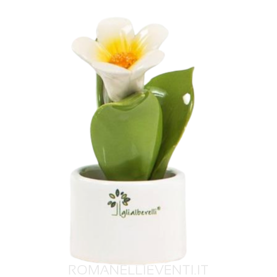 Pianta Natura mignon Campanula 6 x 11 cm-Gli Alberelli-Romanelli Eventi
