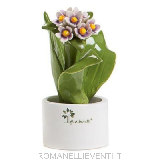 Pianta Natura mignon color panna: giacinto 6 x 11 cm-Gli Alberelli-Romanelli Eventi