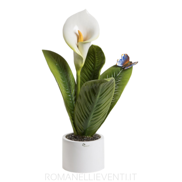 Pianta Natura piccola Calla 40 x 60 cm-Gli Alberelli-Romanelli Eventi