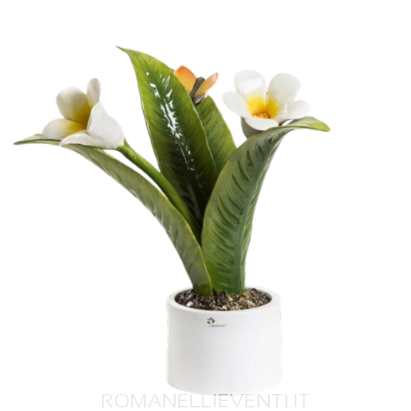 Pianta Natura piccola Campanula 40 x 60 cm-Gli Alberelli-Romanelli Eventi