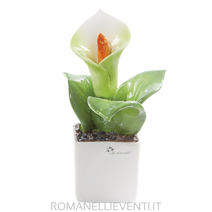 Pianta quadra misura piccola con decoro fiore: calla cm 12x18-Gli Alberelli-12x12x18-Romanelli Eventi