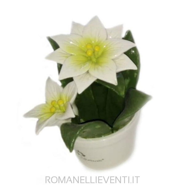 Profumatore-Gli Alberelli-Romanelli Eventi